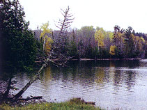 Lake Ottawa Recreation Area & Campground